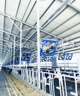 牛舍風(fēng)機(jī)